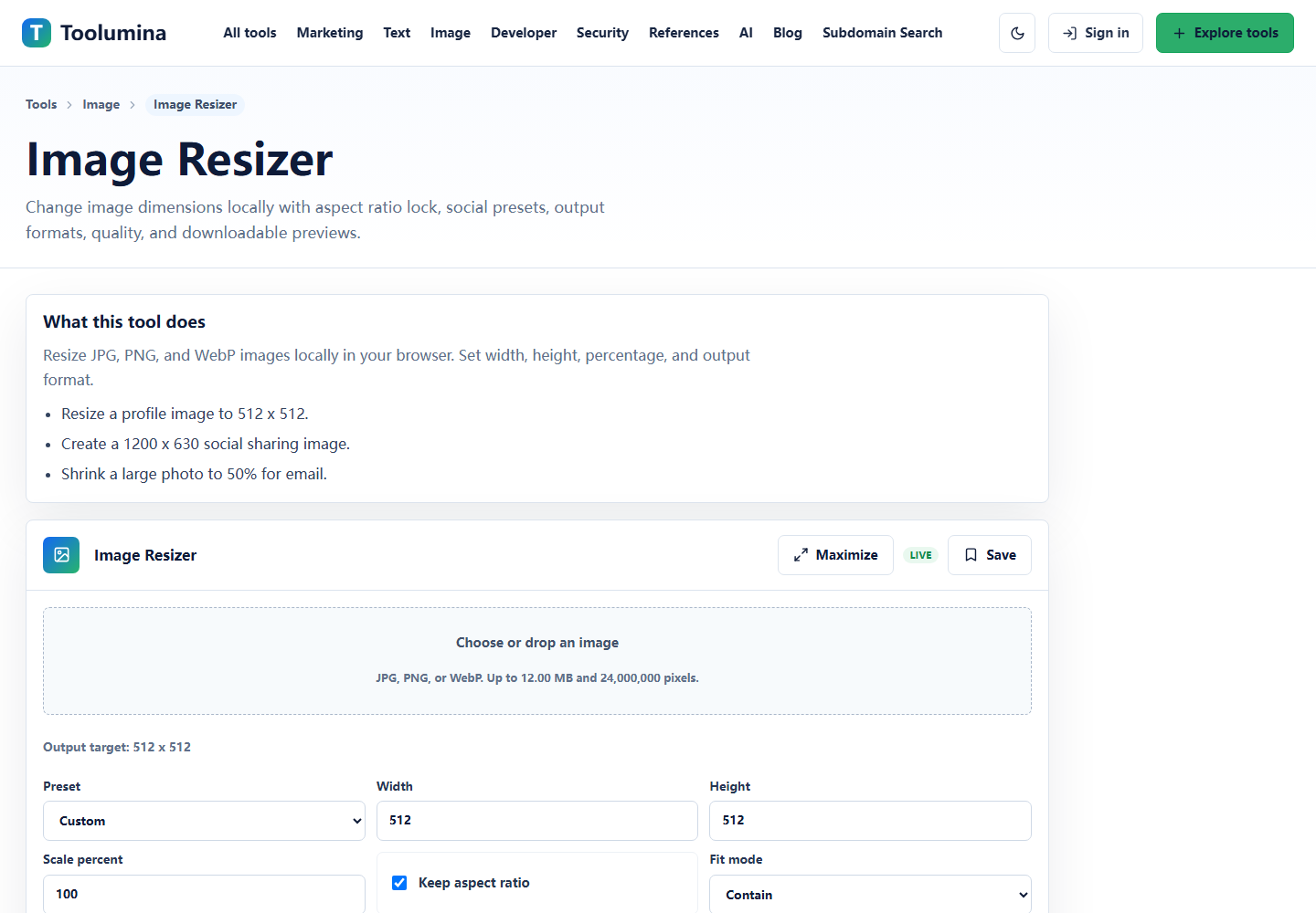 Toolumina Image Resizer page with width, height, scale, and output format controls