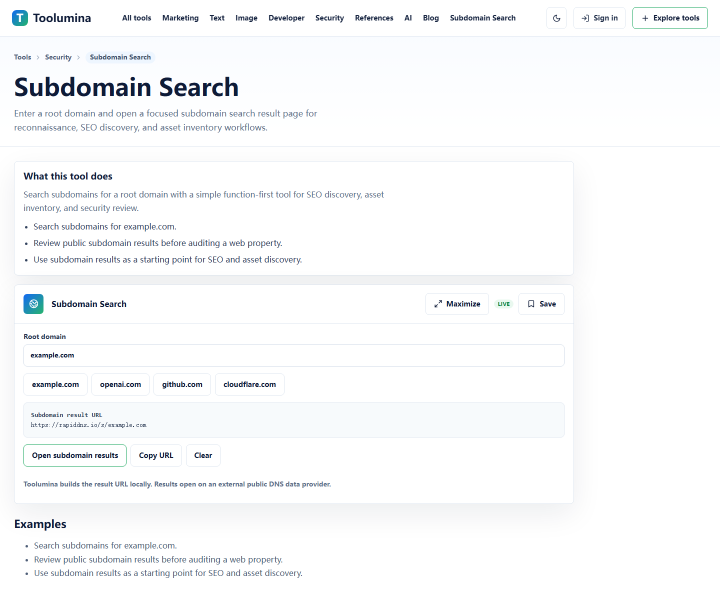 Toolumina Subdomain Search page with domain research input and workflow notes